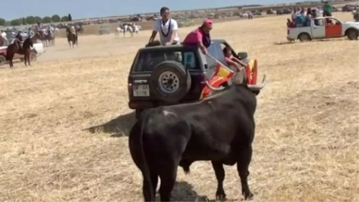 İspanya’da boğa koşusu festivalinde boğa, 20 yaşındaki genci boynuzlayarak öldürdü